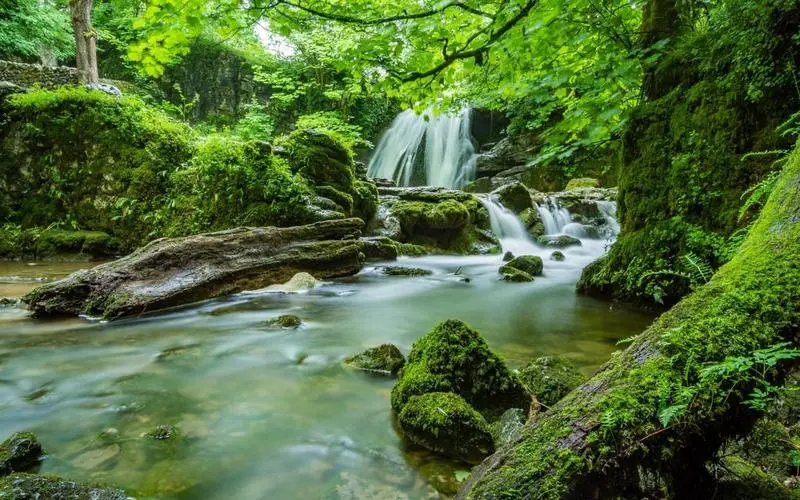 智能先进高性能
